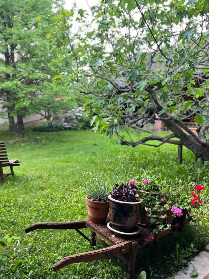 La Casa Arancione Hotel Boves Kültér fotó
